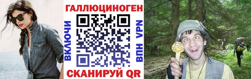 хочу   Сурск  Галлюциногенные грибы Psilocybe 